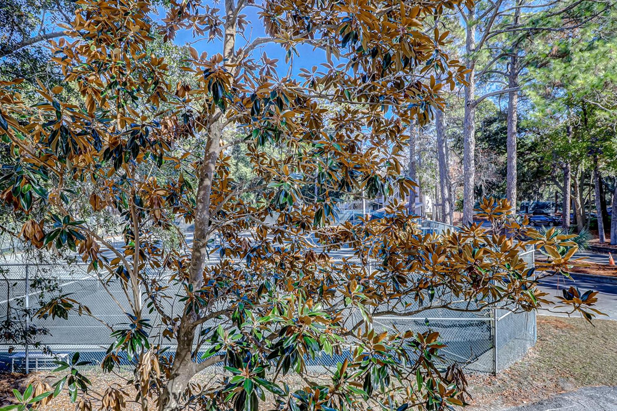 Fiddlers Cove Villa Hilton Head Island Kamer foto